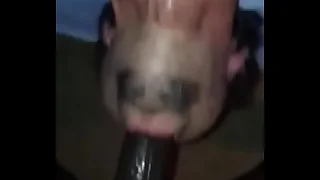 white guy deepthroats a jumbo black cock like a pro